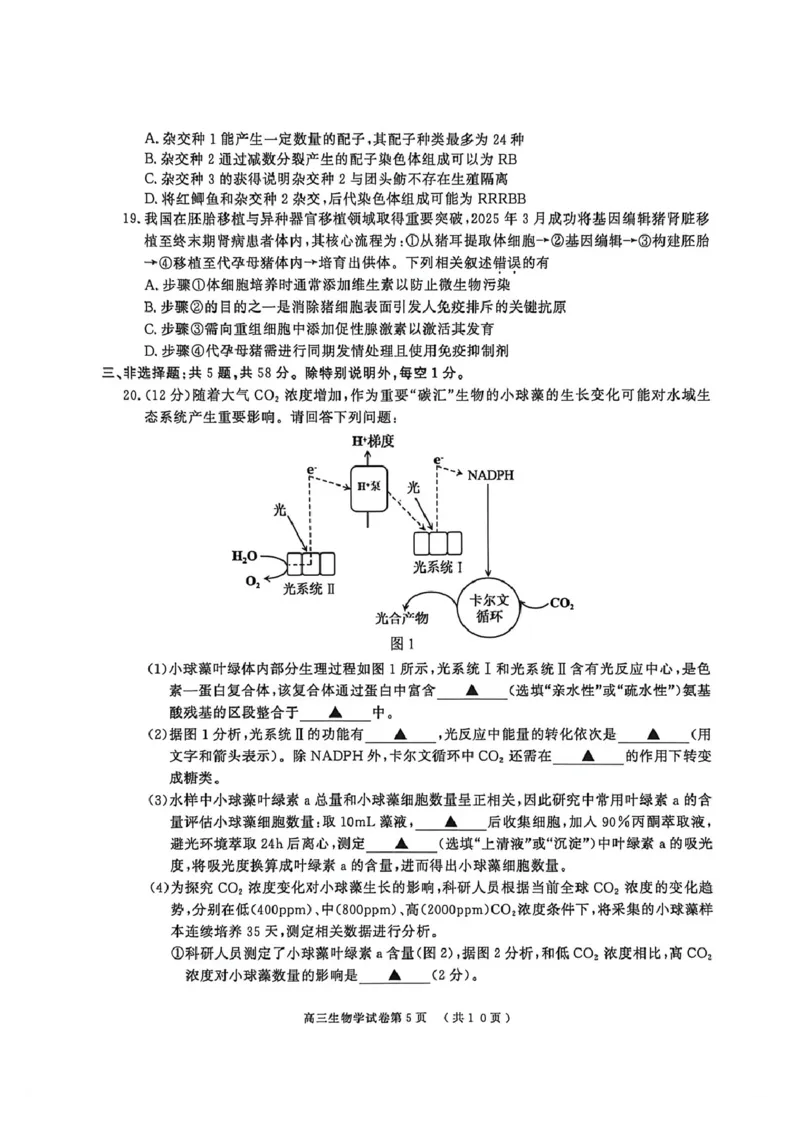 2026届江苏省南京市、盐城市高三一模生物卷（含答案）_2024-2026高三（6-6月题库）_2026年03月高三试卷_2603282026届江苏省南京市、盐城市高三一模（全科）