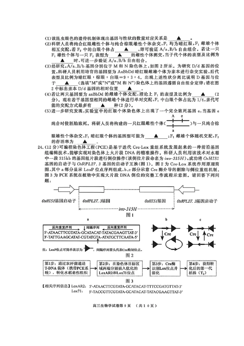 2026届江苏省南京市、盐城市高三一模生物卷（含答案）_2024-2026高三（6-6月题库）_2026年03月高三试卷_2603282026届江苏省南京市、盐城市高三一模（全科）