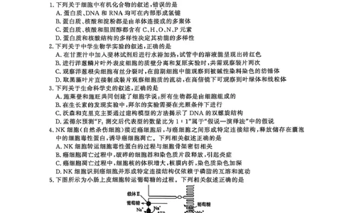 2026届江苏省南京市、盐城市高三一模生物卷（含答案）_2024-2026高三（6-6月题库）_2026年03月高三试卷_2603282026届江苏省南京市、盐城市高三一模（全科）
