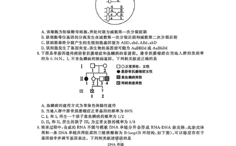 2026届江苏省南京市、盐城市高三一模生物卷（含答案）_2024-2026高三（6-6月题库）_2026年03月高三试卷_2603282026届江苏省南京市、盐城市高三一模（全科）