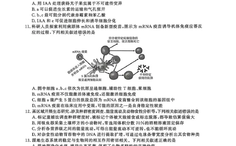 2026届江苏省南京市、盐城市高三一模生物卷（含答案）_2024-2026高三（6-6月题库）_2026年03月高三试卷_2603282026届江苏省南京市、盐城市高三一模（全科）