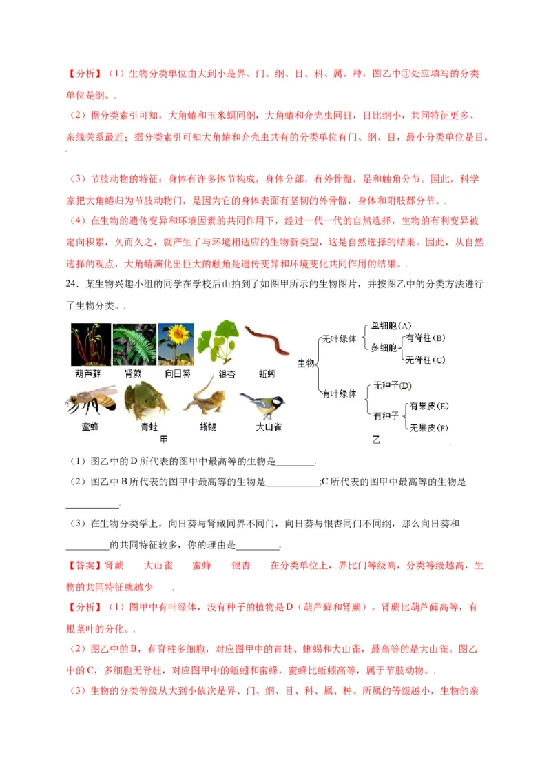 第六单元（第一章）根据生物的特征进行分类（选拔卷）-（人教版）（解析版）_初中全科电子版试卷练习试题_生物_生物8上练习_人教生物8年级上单元试卷48份