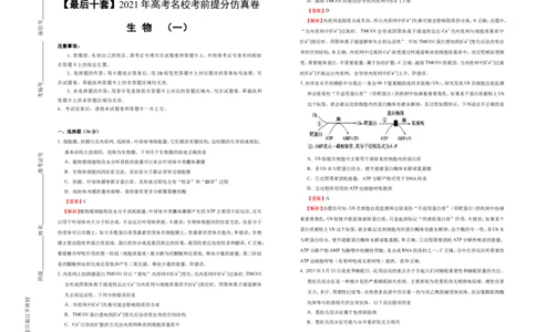 原创最后十套2021年高考名校考前提分仿真卷生物（一）教师版_通用版（老高考）复习资料_2023年复习资料_专项复习_2023《微专题&middot;小练习》&middot;生物_模拟题