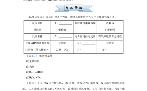 原创2021届小题必练4酶与ATP教师版_通用版（老高考）复习资料_2023年复习资料_专项复习_2023《微专题&middot;小练习》&middot;生物_模拟题_2021届小题优练-生物_原创2021届小题必练4酶与ATP