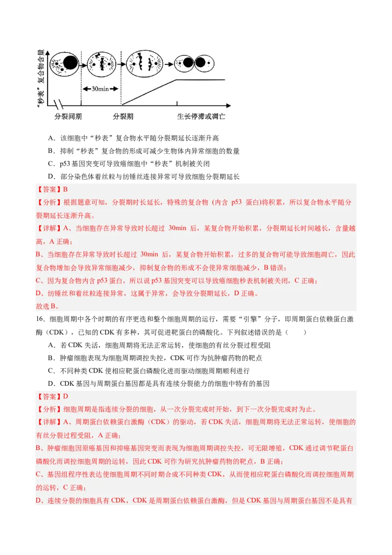单元检测卷04细胞的生命历程（解析版）_新高考复习资料_2025年新高考资料_2025年高考生物一轮复习考点通关卷（新高考通用）