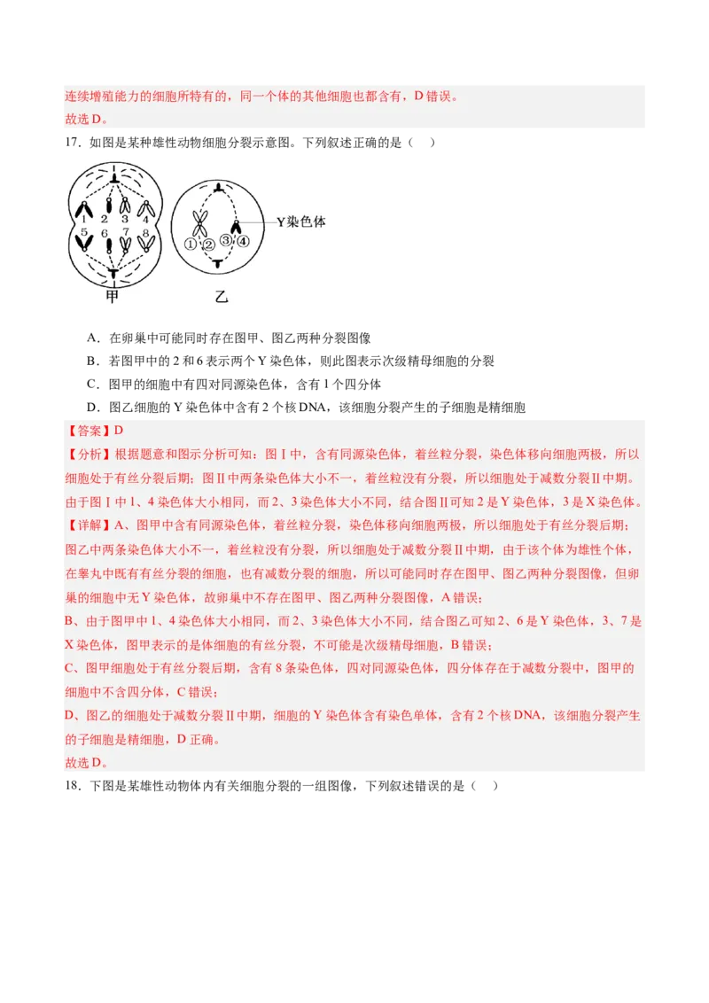单元检测卷04细胞的生命历程（解析版）_新高考复习资料_2025年新高考资料_2025年高考生物一轮复习考点通关卷（新高考通用）