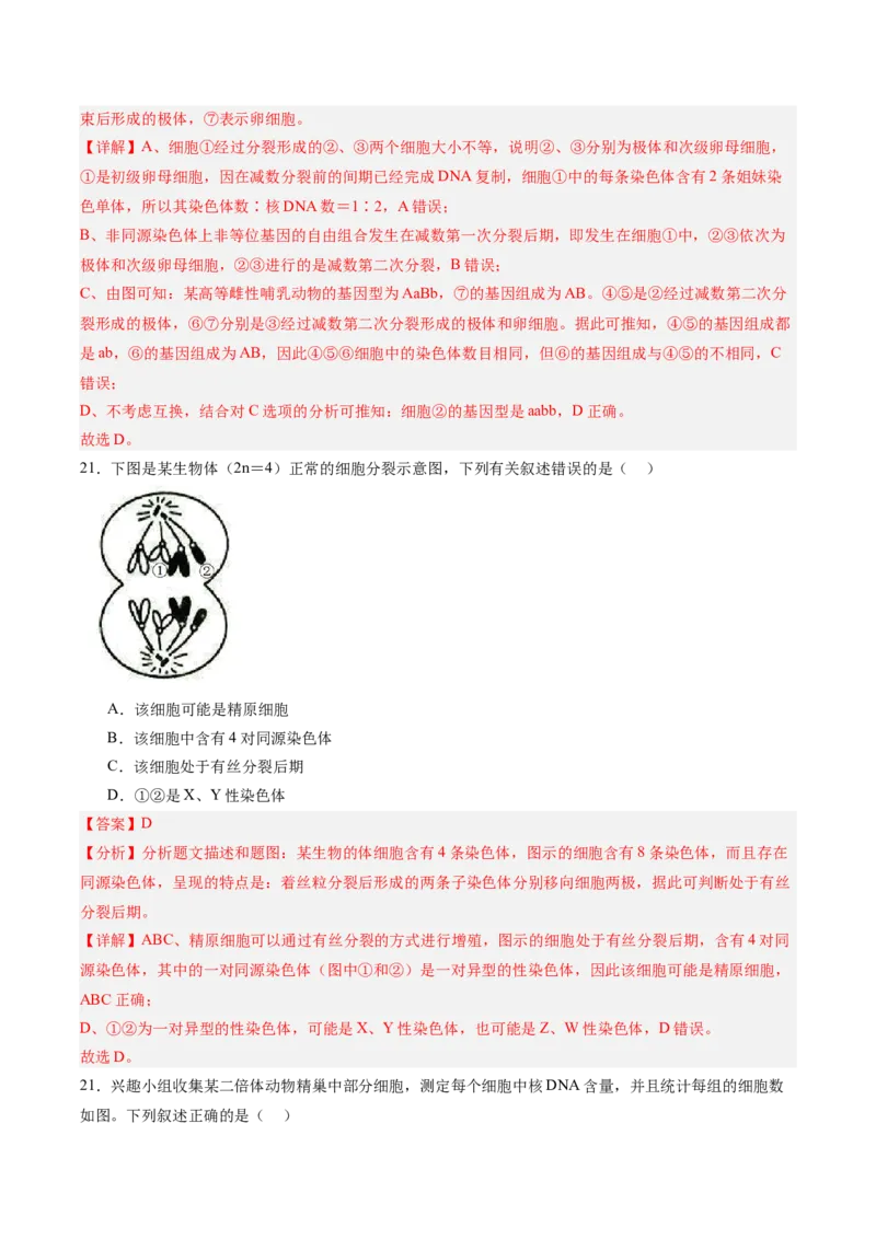 单元检测卷04细胞的生命历程（解析版）_新高考复习资料_2025年新高考资料_2025年高考生物一轮复习考点通关卷（新高考通用）