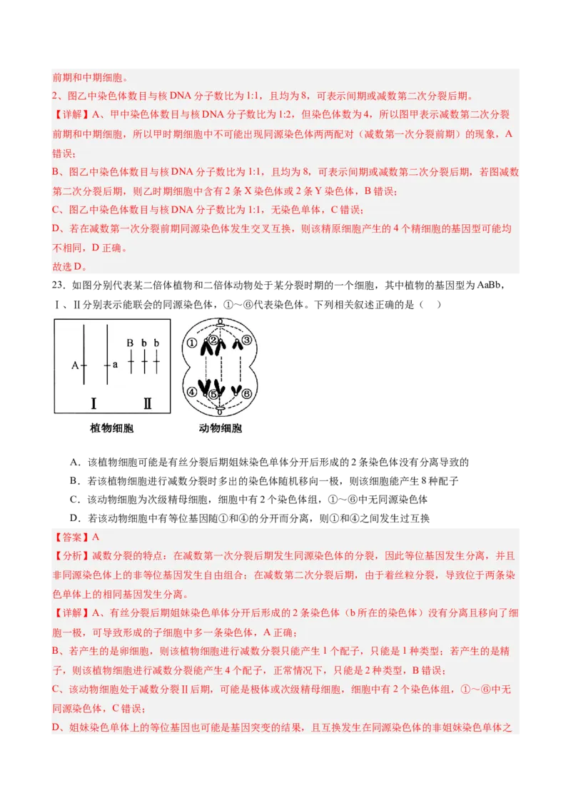 单元检测卷04细胞的生命历程（解析版）_新高考复习资料_2025年新高考资料_2025年高考生物一轮复习考点通关卷（新高考通用）