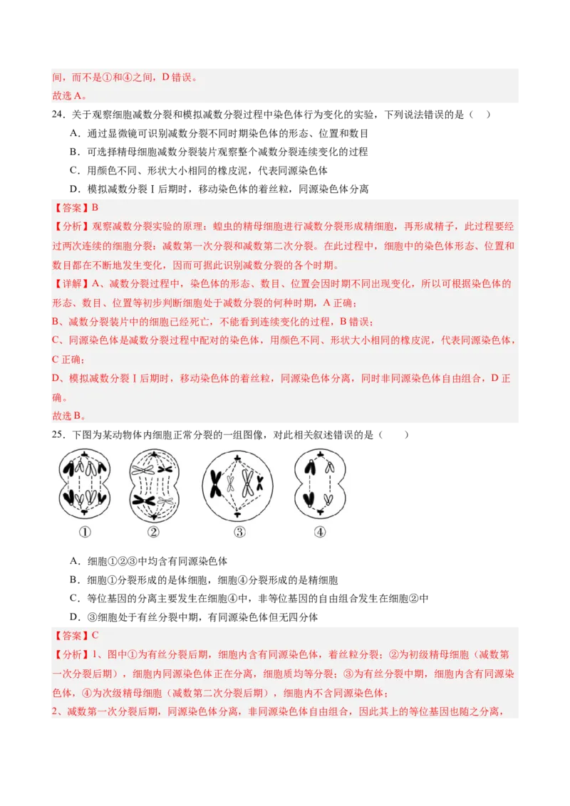 单元检测卷04细胞的生命历程（解析版）_新高考复习资料_2025年新高考资料_2025年高考生物一轮复习考点通关卷（新高考通用）