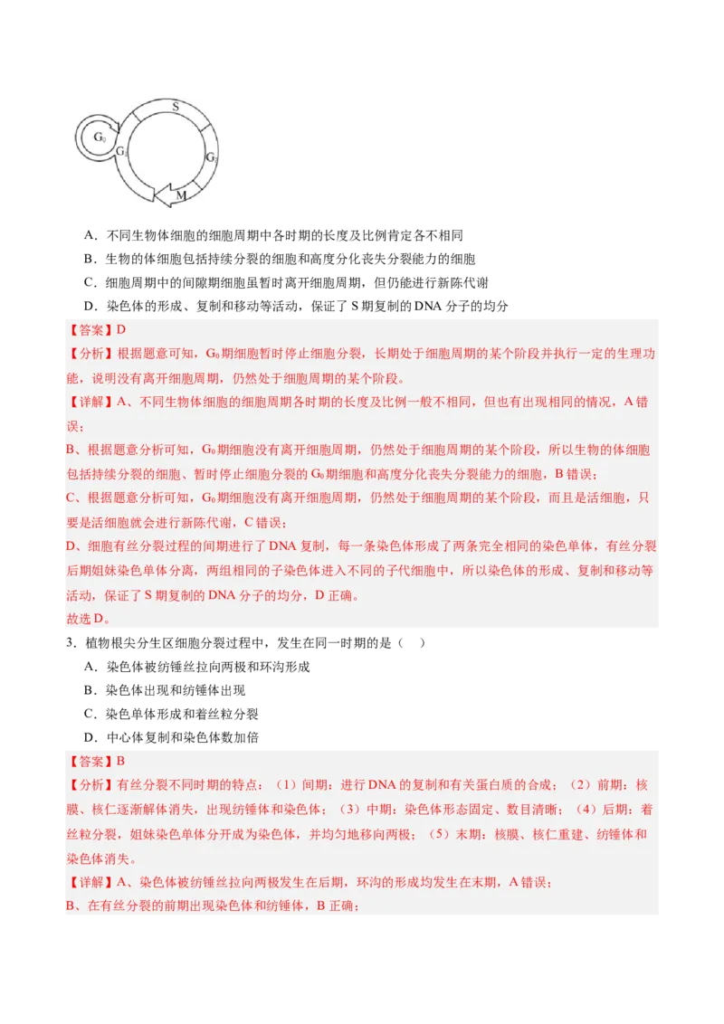 单元检测卷04细胞的生命历程（解析版）_新高考复习资料_2025年新高考资料_2025年高考生物一轮复习考点通关卷（新高考通用）