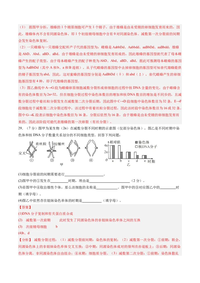 单元检测卷04细胞的生命历程（解析版）_新高考复习资料_2025年新高考资料_2025年高考生物一轮复习考点通关卷（新高考通用）