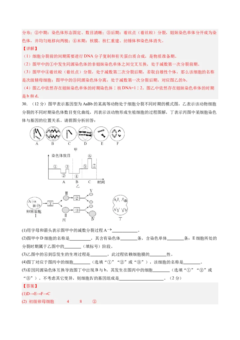 单元检测卷04细胞的生命历程（解析版）_新高考复习资料_2025年新高考资料_2025年高考生物一轮复习考点通关卷（新高考通用）