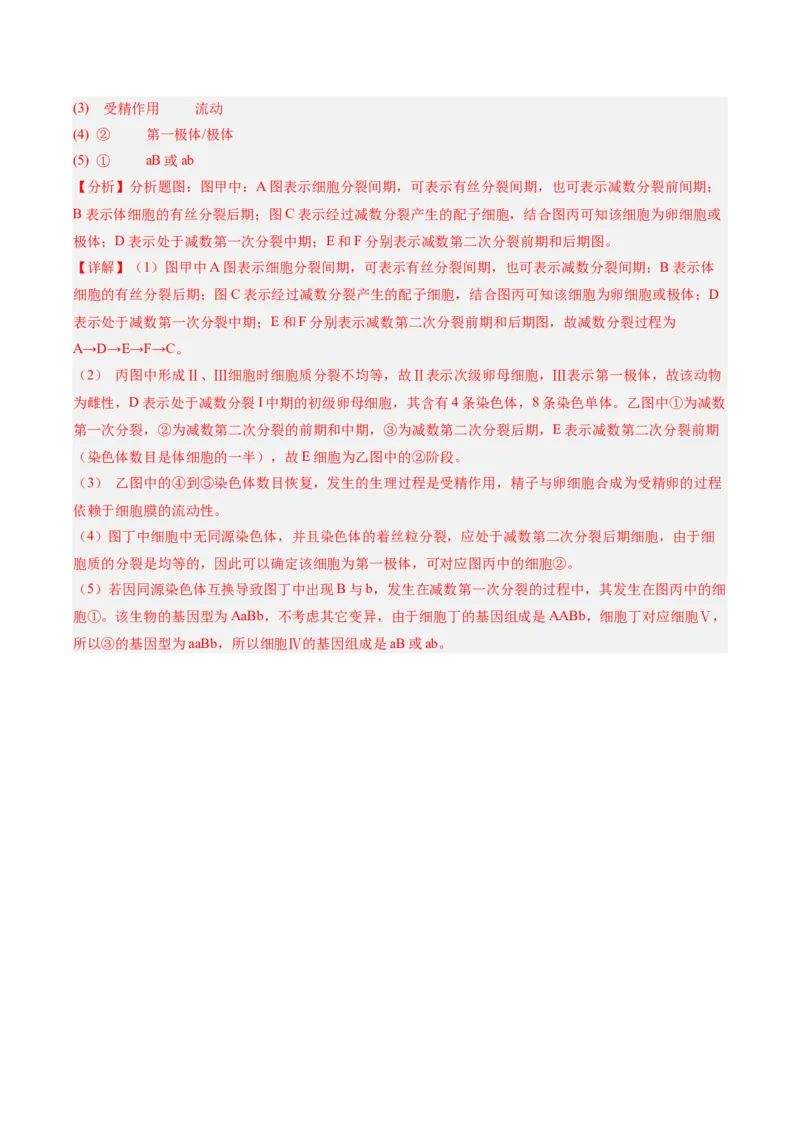单元检测卷04细胞的生命历程（解析版）_新高考复习资料_2025年新高考资料_2025年高考生物一轮复习考点通关卷（新高考通用）