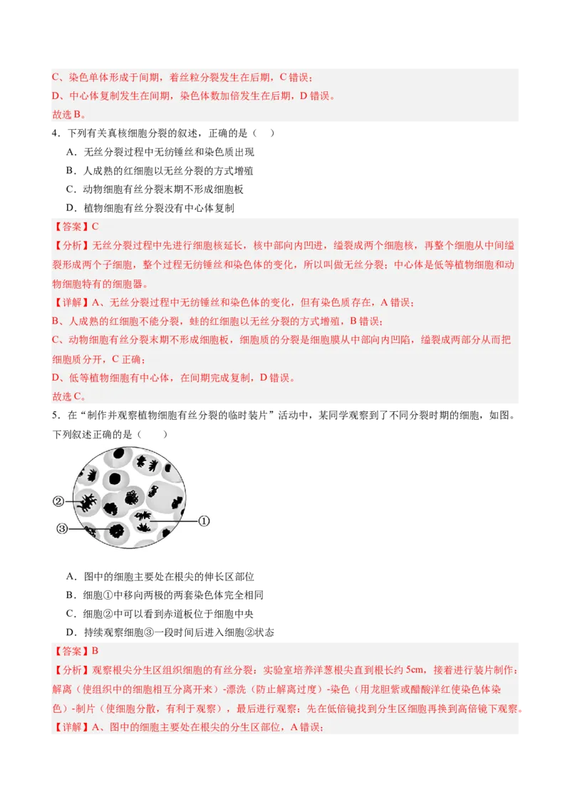 单元检测卷04细胞的生命历程（解析版）_新高考复习资料_2025年新高考资料_2025年高考生物一轮复习考点通关卷（新高考通用）