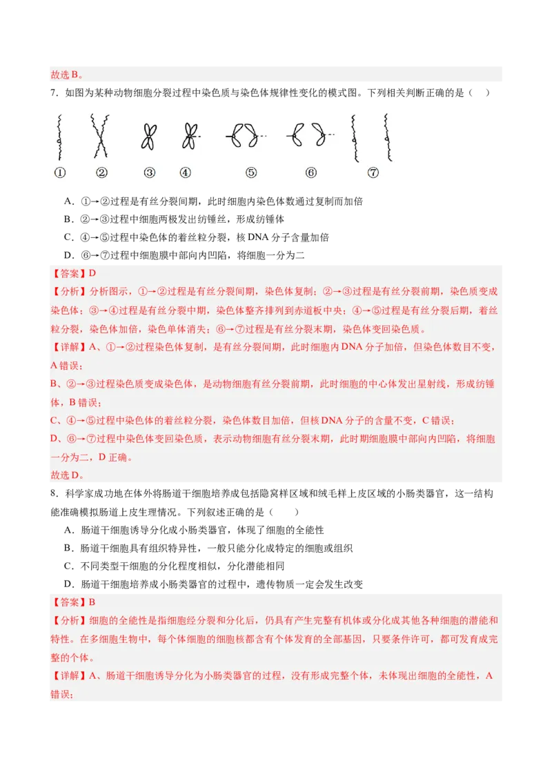单元检测卷04细胞的生命历程（解析版）_新高考复习资料_2025年新高考资料_2025年高考生物一轮复习考点通关卷（新高考通用）