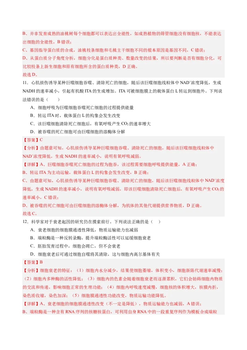 单元检测卷04细胞的生命历程（解析版）_新高考复习资料_2025年新高考资料_2025年高考生物一轮复习考点通关卷（新高考通用）
