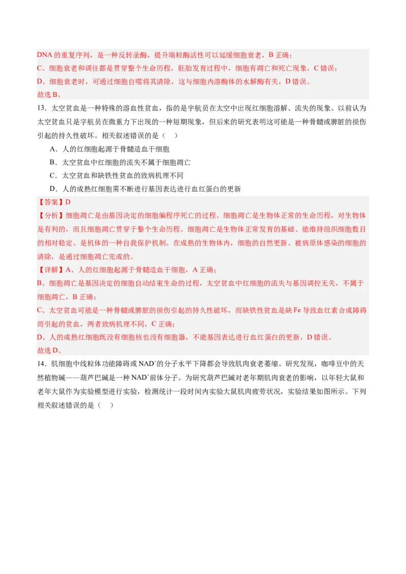 单元检测卷04细胞的生命历程（解析版）_新高考复习资料_2025年新高考资料_2025年高考生物一轮复习考点通关卷（新高考通用）