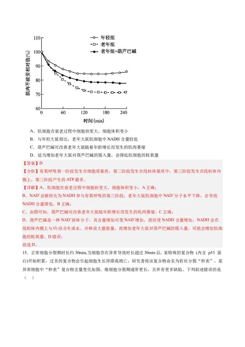 单元检测卷04细胞的生命历程（解析版）_新高考复习资料_2025年新高考资料_2025年高考生物一轮复习考点通关卷（新高考通用）