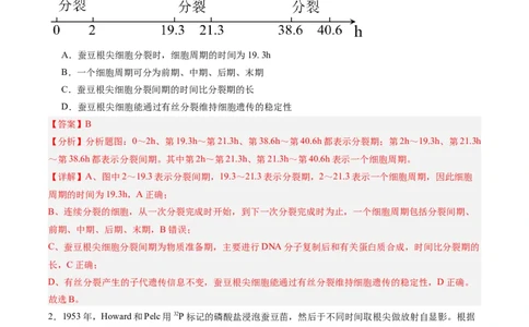 单元检测卷04细胞的生命历程（解析版）_新高考复习资料_2025年新高考资料_2025年高考生物一轮复习考点通关卷（新高考通用）