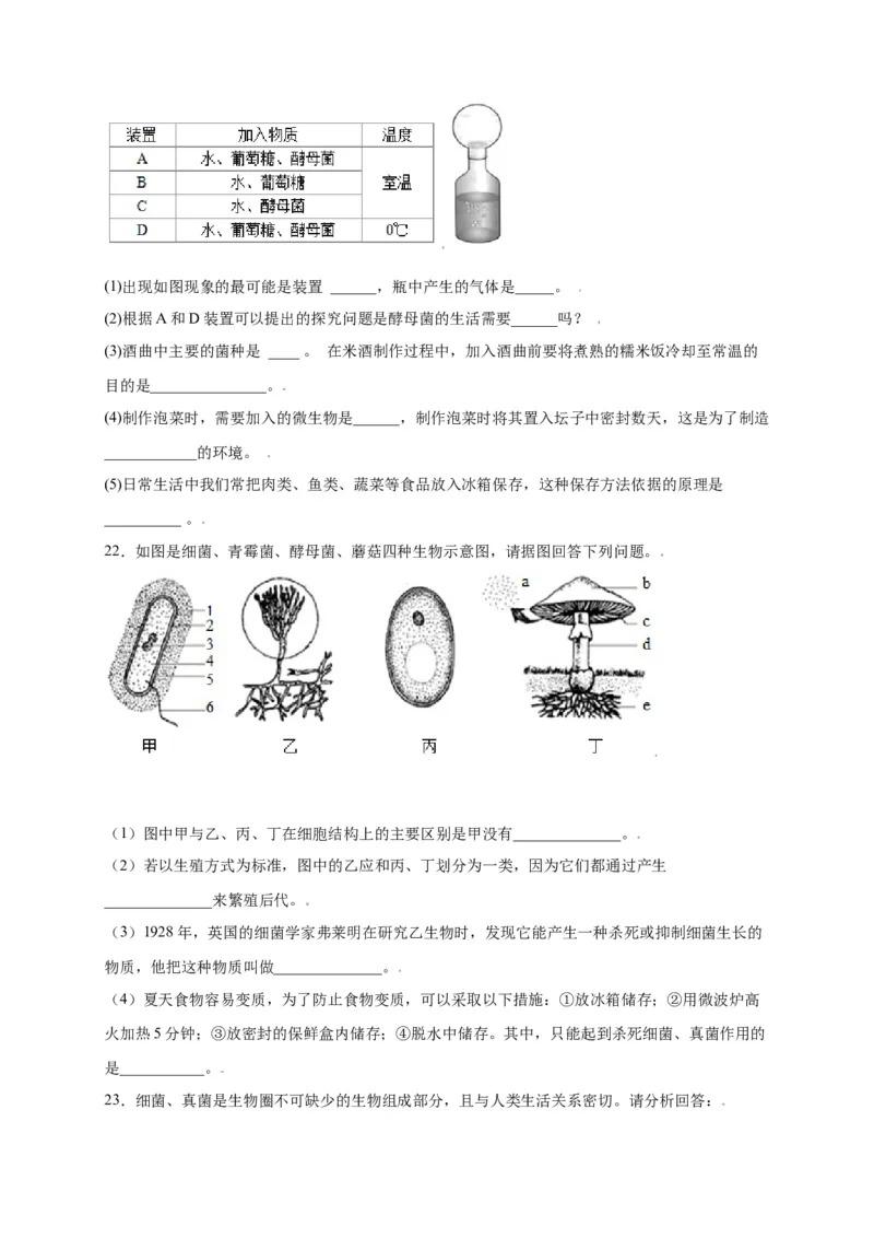 第五单元（第四章）细菌和真菌（选拔卷）-（人教版）（原卷版）_初中全科电子版试卷练习试题_生物_生物8上练习_人教生物8年级上单元试卷48份