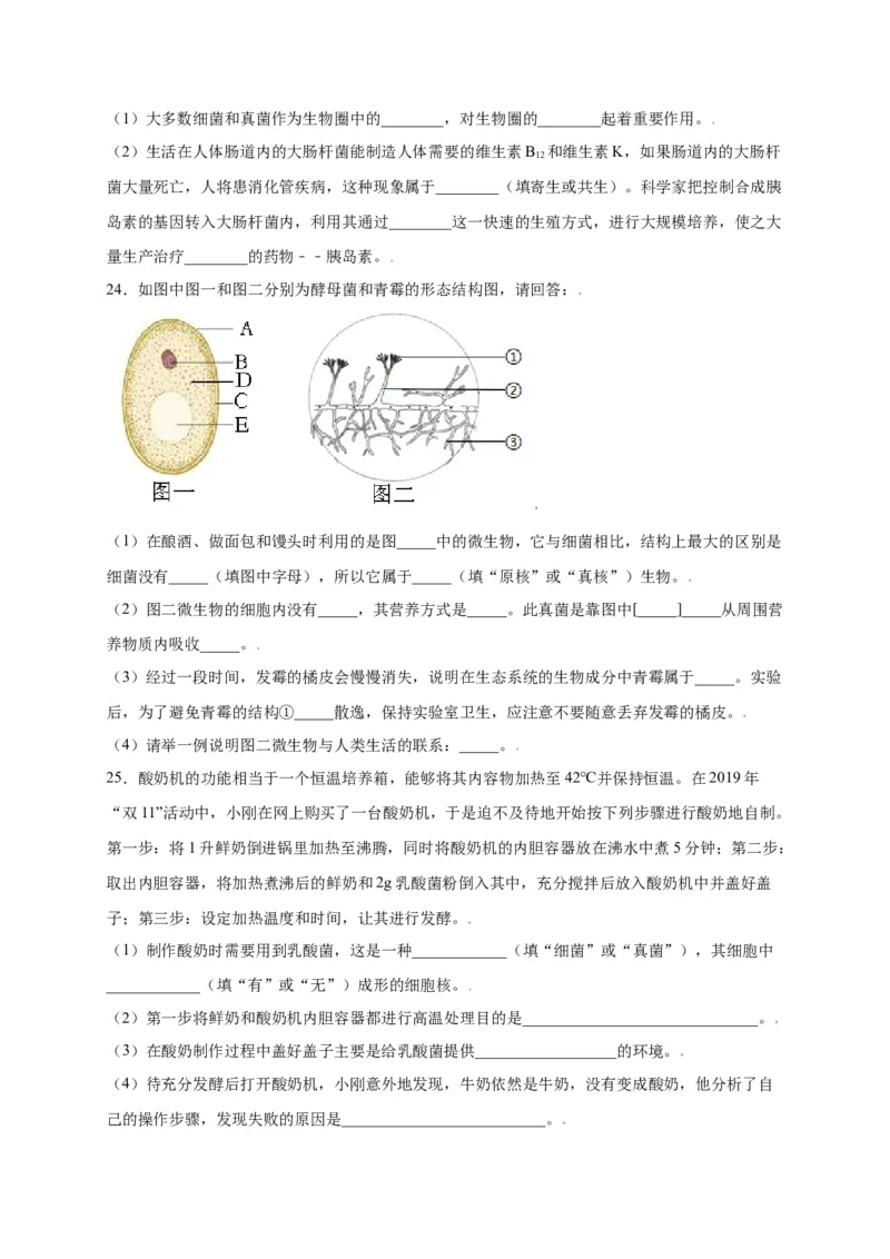 第五单元（第四章）细菌和真菌（选拔卷）-（人教版）（原卷版）_初中全科电子版试卷练习试题_生物_生物8上练习_人教生物8年级上单元试卷48份