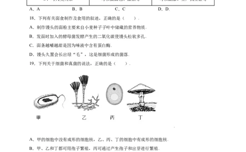 第五单元（第四章）细菌和真菌（选拔卷）-（人教版）（原卷版）_初中全科电子版试卷练习试题_生物_生物8上练习_人教生物8年级上单元试卷48份