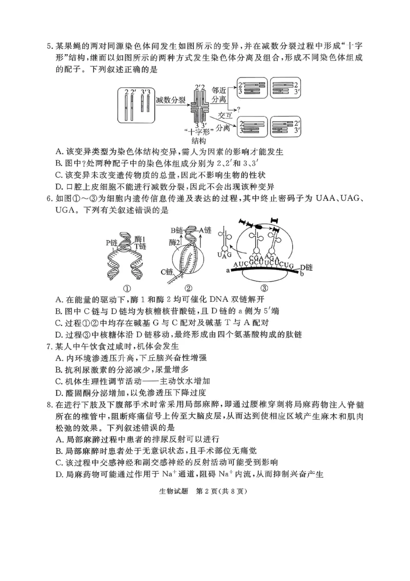 2026年河北省普通高中学业水平选择性模拟考试生物+答案_2024-2026高三（6-6月题库）_2026年03月高三试卷_260324河北省张家口市2026年普通高中学业水平选择性模拟考试（全科）