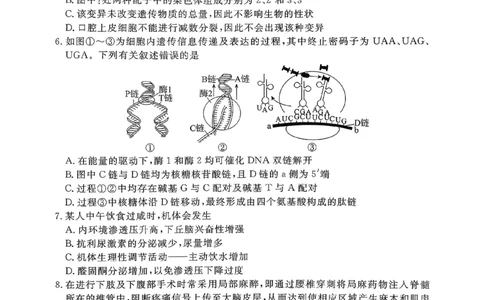 2026年河北省普通高中学业水平选择性模拟考试生物+答案_2024-2026高三（6-6月题库）_2026年03月高三试卷_260324河北省张家口市2026年普通高中学业水平选择性模拟考试（全科）