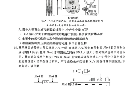 2026年河北省普通高中学业水平选择性模拟考试生物+答案_2024-2026高三（6-6月题库）_2026年03月高三试卷_260324河北省张家口市2026年普通高中学业水平选择性模拟考试（全科）