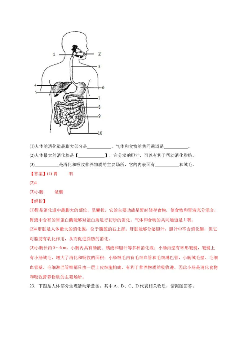 第二单元人体的营养（选拔卷）-单元测试（人教版）（解析版）_初中全科电子版试卷练习试题_生物_生物人教版7下练习_人教生物7年级下单元试卷33份