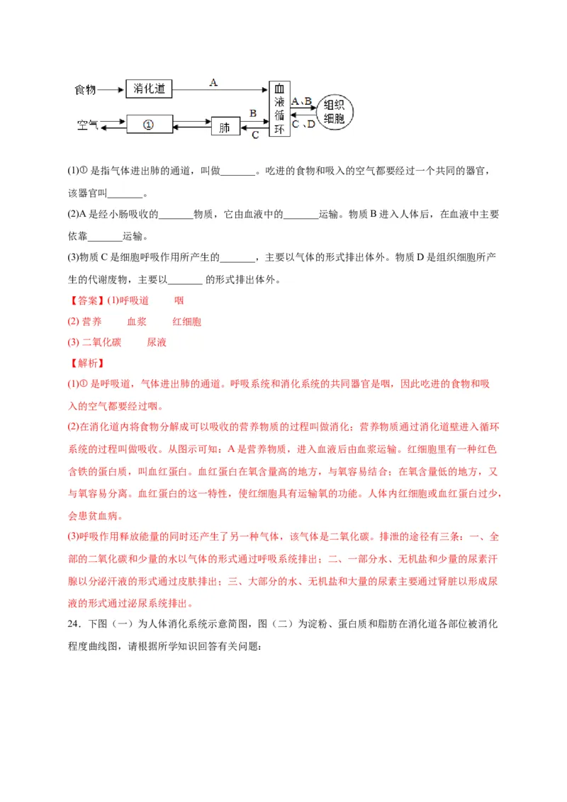 第二单元人体的营养（选拔卷）-单元测试（人教版）（解析版）_初中全科电子版试卷练习试题_生物_生物人教版7下练习_人教生物7年级下单元试卷33份