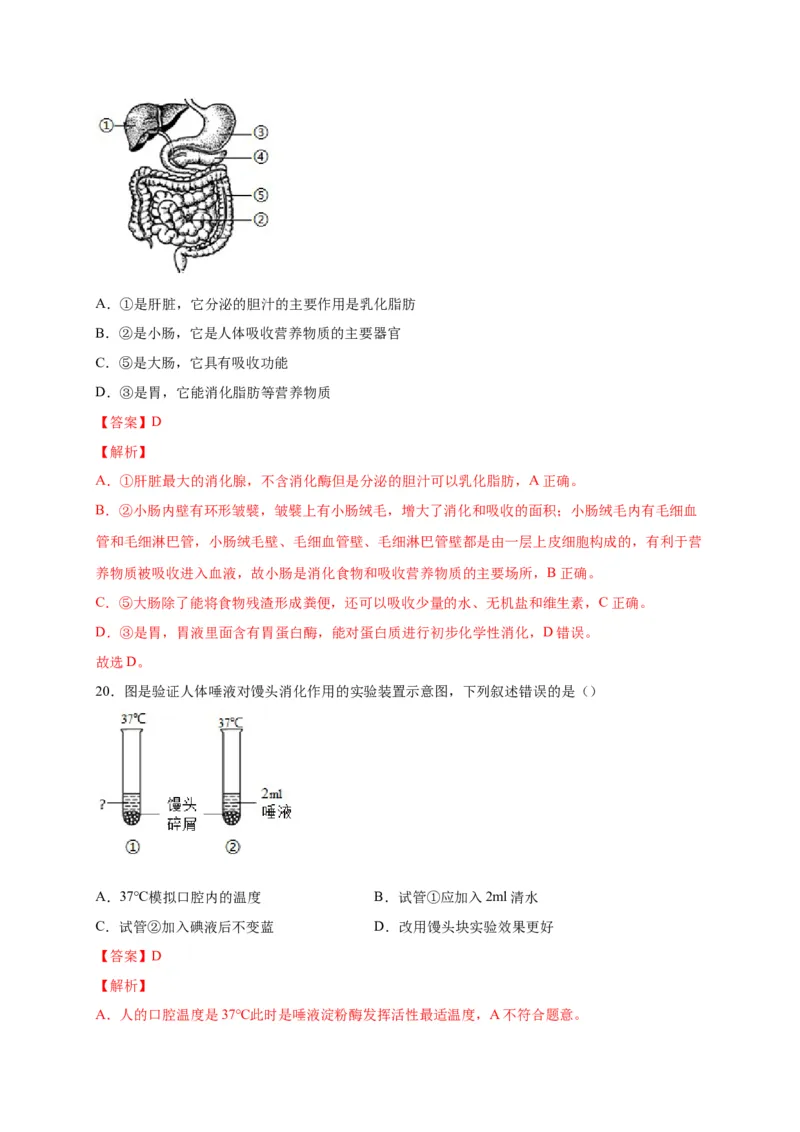 第二单元人体的营养（选拔卷）-单元测试（人教版）（解析版）_初中全科电子版试卷练习试题_生物_生物人教版7下练习_人教生物7年级下单元试卷33份