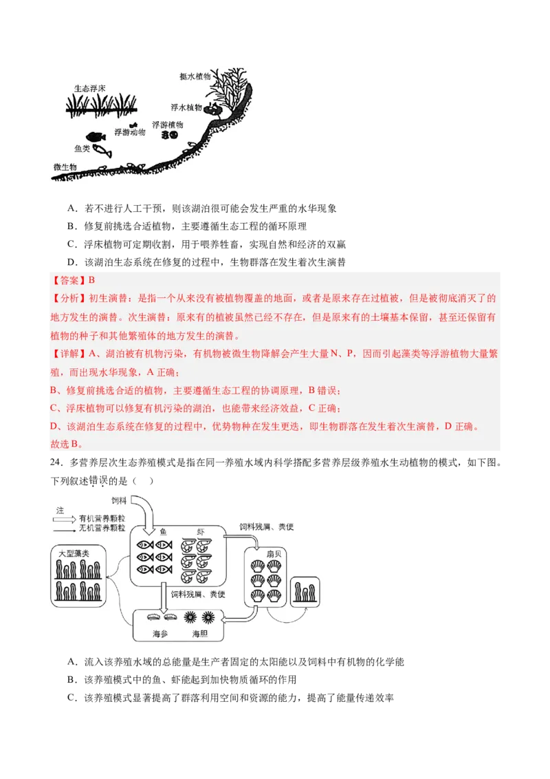 单元检测卷09生物与环境（解析版）_2025年新高考资料_一轮复习_2025年高考生物一轮复习考点通关卷（新高考通用）