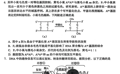 2026届高三年级第一次模拟考试质量监测试卷生物_2024-2026高三（6-6月题库）_2026年03月高三试卷_260311山西省2026届高三年级第一次模拟考试质量监测（全科）
