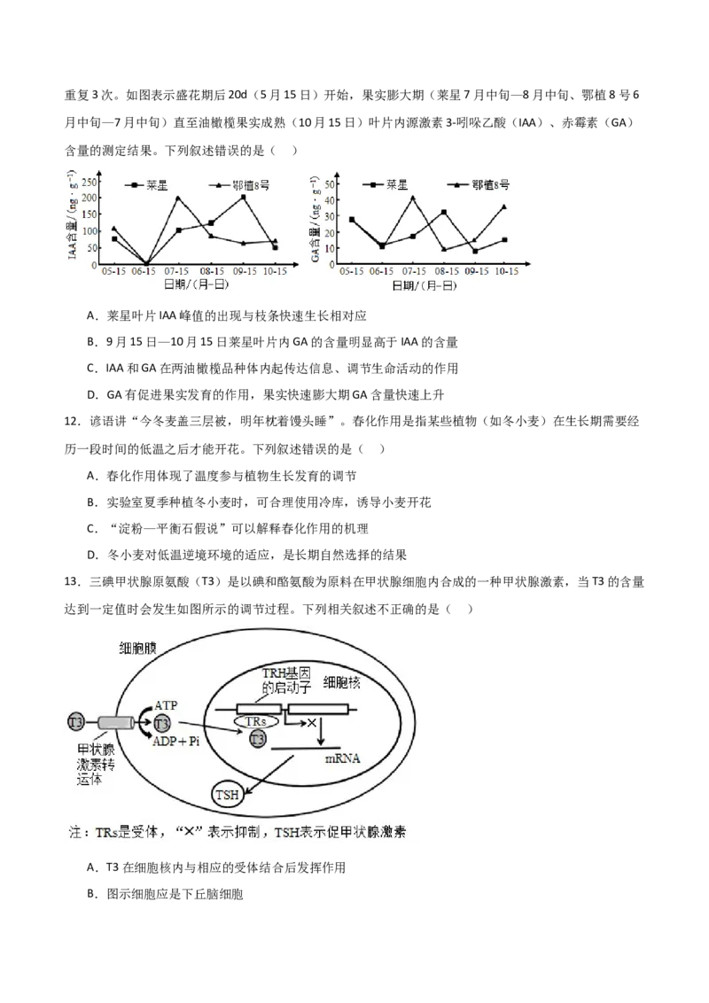 单元检测卷08稳态与调节（原卷版）_新高考复习资料_2024年新高考复习资料_一轮复习资料_完2024年高考生物一轮复习考点通关卷（新高考）_单元检测卷08稳态与调节