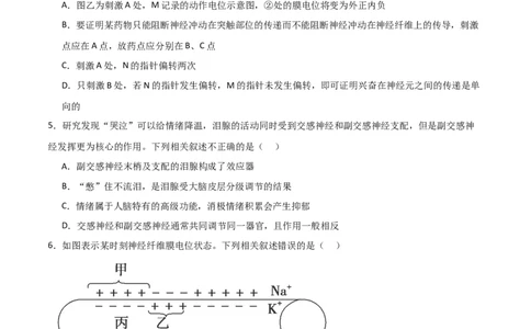 单元检测卷08稳态与调节（原卷版）_新高考复习资料_2024年新高考复习资料_一轮复习资料_完2024年高考生物一轮复习考点通关卷（新高考）_单元检测卷08稳态与调节