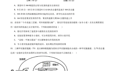 单元检测卷08稳态与调节（原卷版）_新高考复习资料_2024年新高考复习资料_一轮复习资料_完2024年高考生物一轮复习考点通关卷（新高考）_单元检测卷08稳态与调节