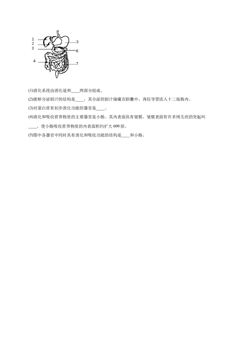 第二单元人体的营养（选拔卷）-单元测试（人教版）（原卷版）_初中全科电子版试卷练习试题_生物_生物人教版7下练习_人教生物7年级下单元试卷33份