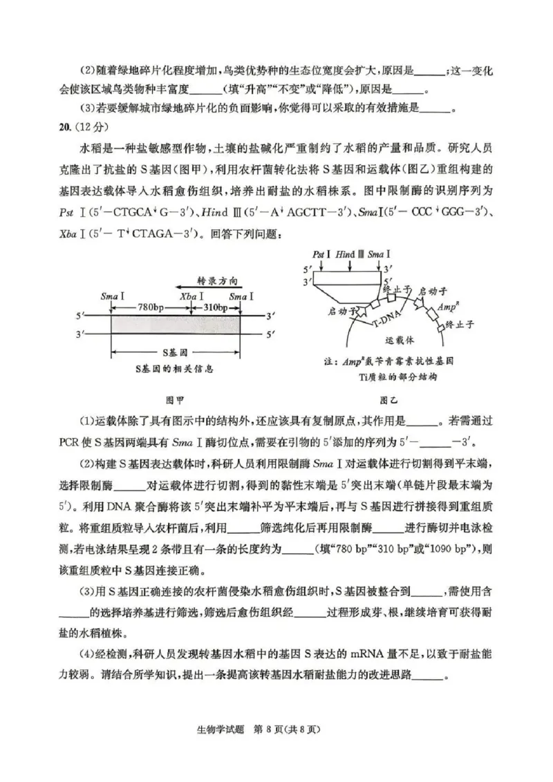 2023级高三下学期定时练习生物_2024-2026高三（6-6月题库）_2026年04月高三试卷_260430成都市2026年高三下学期4月定时练习（成都三诊）（全科）
