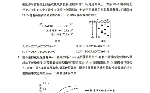 2023级高三下学期定时练习生物_2024-2026高三（6-6月题库）_2026年04月高三试卷_260430成都市2026年高三下学期4月定时练习（成都三诊）（全科）