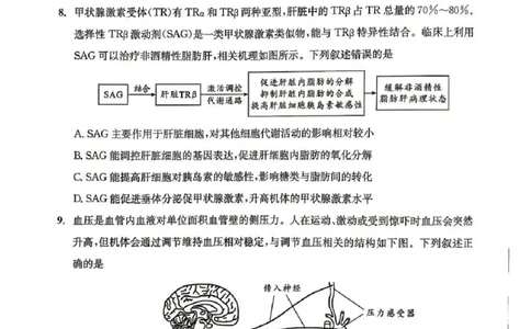 2023级高三下学期定时练习生物_2024-2026高三（6-6月题库）_2026年04月高三试卷_260430成都市2026年高三下学期4月定时练习（成都三诊）（全科）
