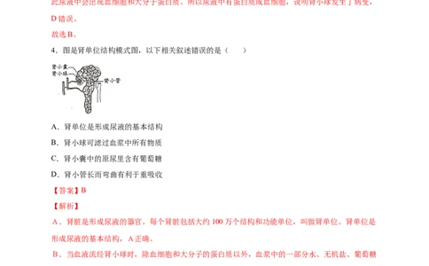 第五单元人体内废物的排出（提分小卷）-单元测试（人教版）（解析版）_初中全科电子版试卷练习试题_生物_生物人教版7下练习_人教生物7年级下单元试卷33份