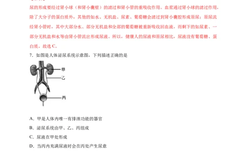 第五单元人体内废物的排出（提分小卷）-单元测试（人教版）（解析版）_初中全科电子版试卷练习试题_生物_生物人教版7下练习_人教生物7年级下单元试卷33份