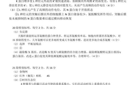 2026届武昌区高三元调生物答案_2024-2026高三（6-6月题库）_2026年02月高三试卷_260201湖北省2026届武汉市武昌区元月高三期末考试（全科）