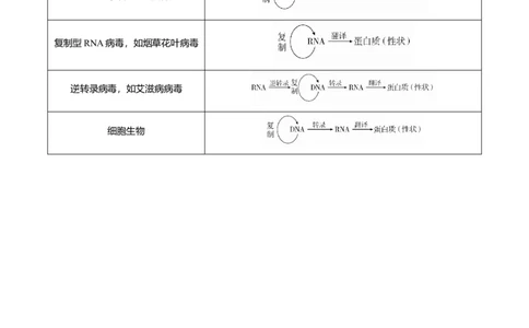 原创（新高考）2021届高考二轮精品专题五遗传分子的基础教师版_新高考复习资料_2021年新高考资料_2021届（新高考）生物二轮精品专题
