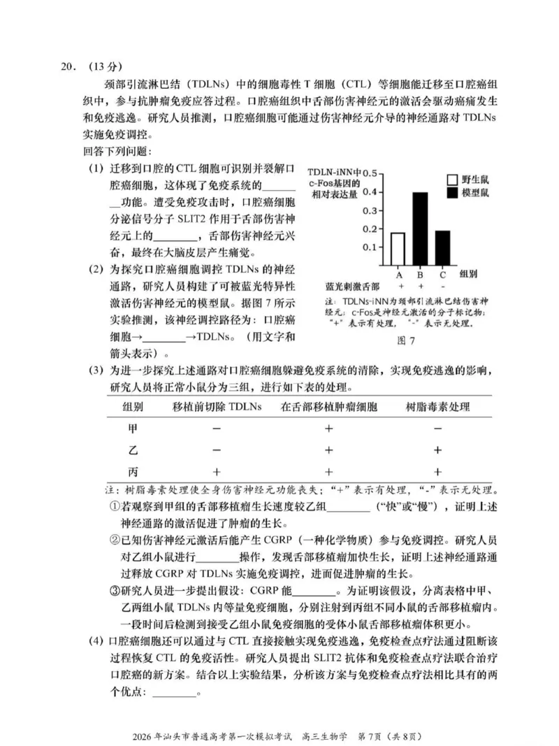 2026年汕头市普通高考第一次模拟考试生物_2024-2026高三（6-6月题库）_2026年03月高三试卷_260311广东省汕头市2026年普通高考第一次模拟考试（全科）