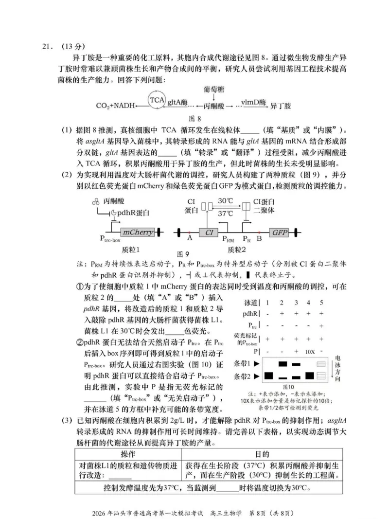 2026年汕头市普通高考第一次模拟考试生物_2024-2026高三（6-6月题库）_2026年03月高三试卷_260311广东省汕头市2026年普通高考第一次模拟考试（全科）