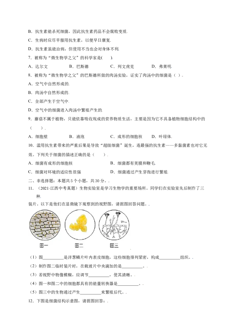 第五单元（第四章）细菌和真菌（提分小卷）-（人教版）（原卷版）_初中全科电子版试卷练习试题_生物_生物8上练习_人教生物8年级上单元试卷48份