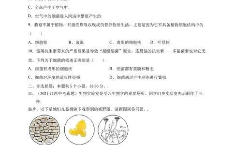 第五单元（第四章）细菌和真菌（提分小卷）-（人教版）（原卷版）_初中全科电子版试卷练习试题_生物_生物8上练习_人教生物8年级上单元试卷48份