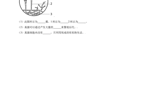 第五单元（第四章）细菌和真菌（提分小卷）-（人教版）（原卷版）_初中全科电子版试卷练习试题_生物_生物8上练习_人教生物8年级上单元试卷48份